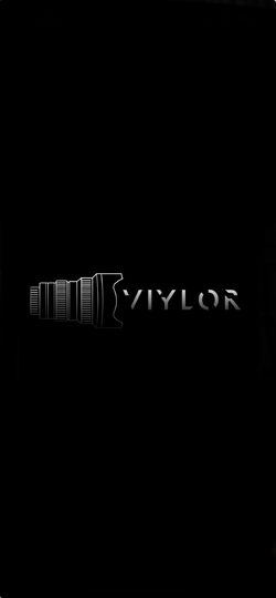 Viylor Media