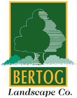 Bertog Landscape