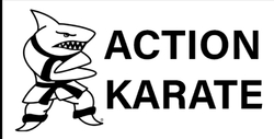 Action Karate Phoenixville